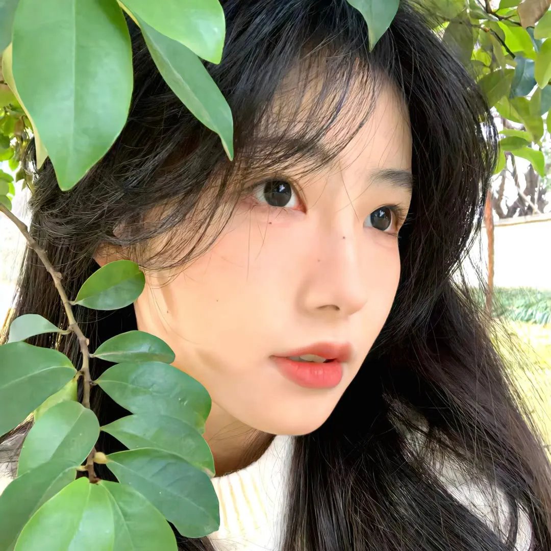 靓尽杀绝
